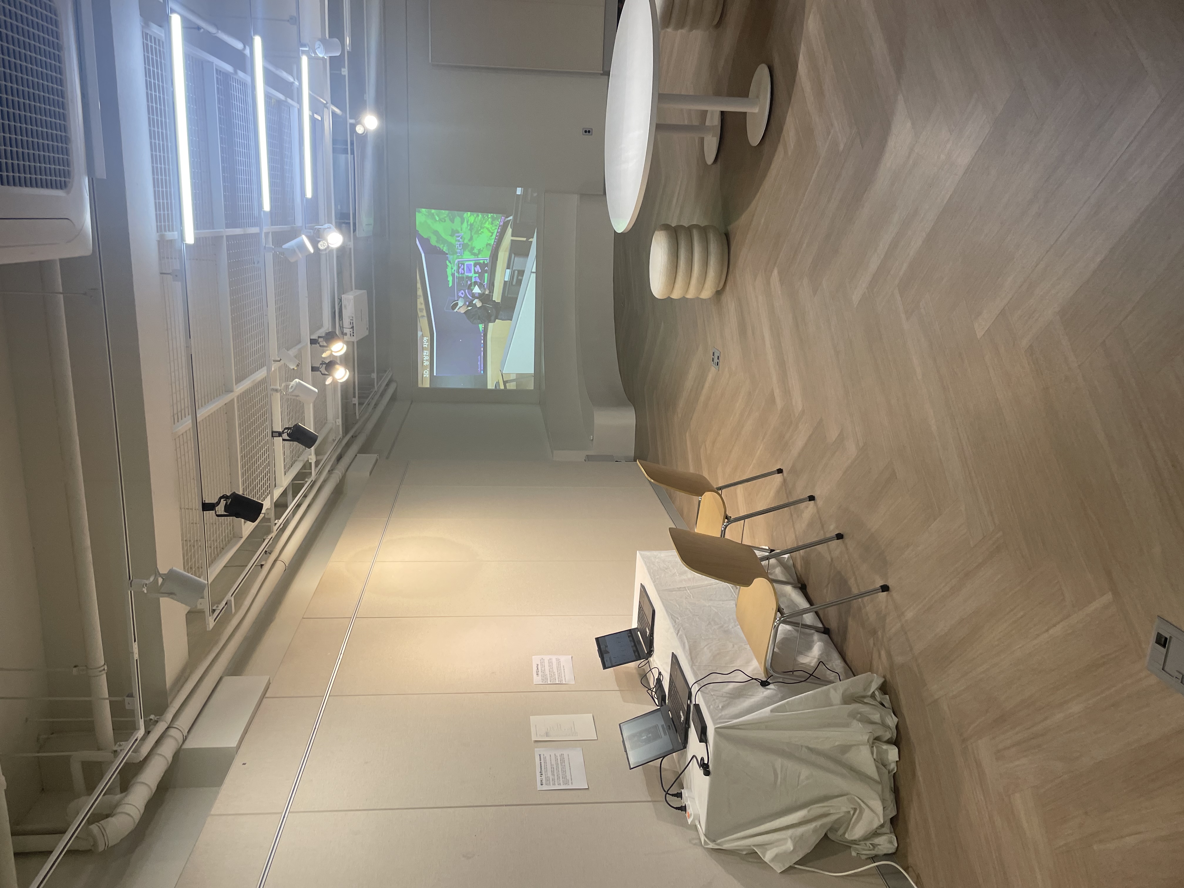 3D, 상상된 자아