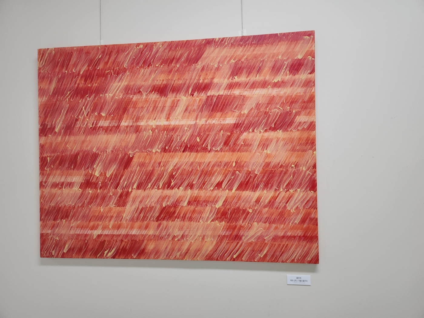 2023 제51회 제대미전