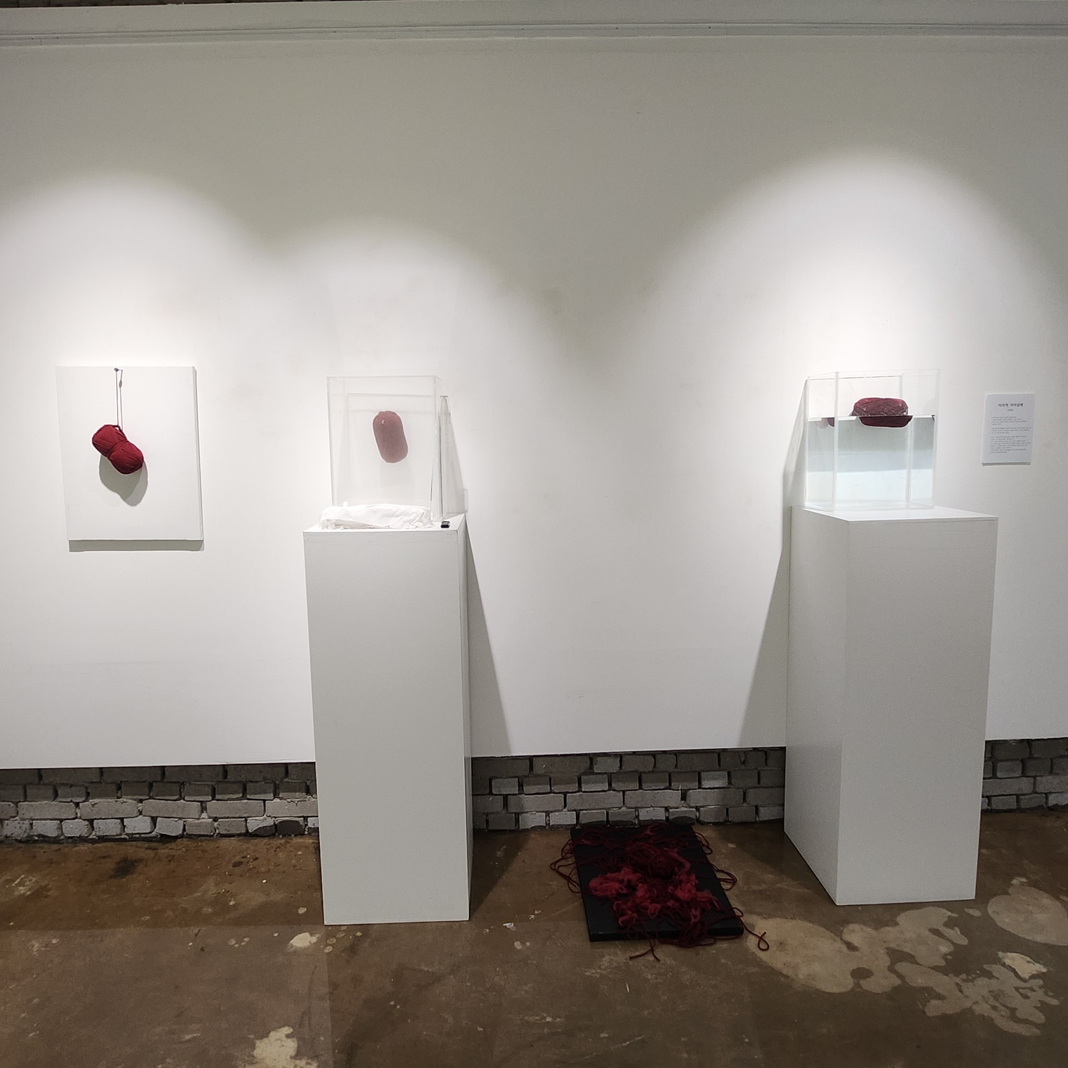 2024 학생회 전시