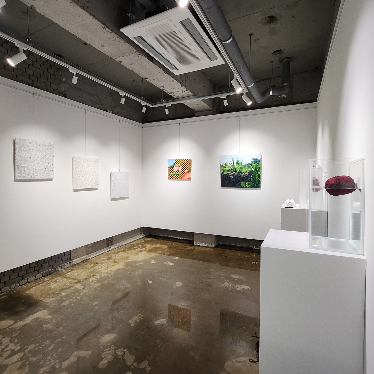 2024 학생회 전시