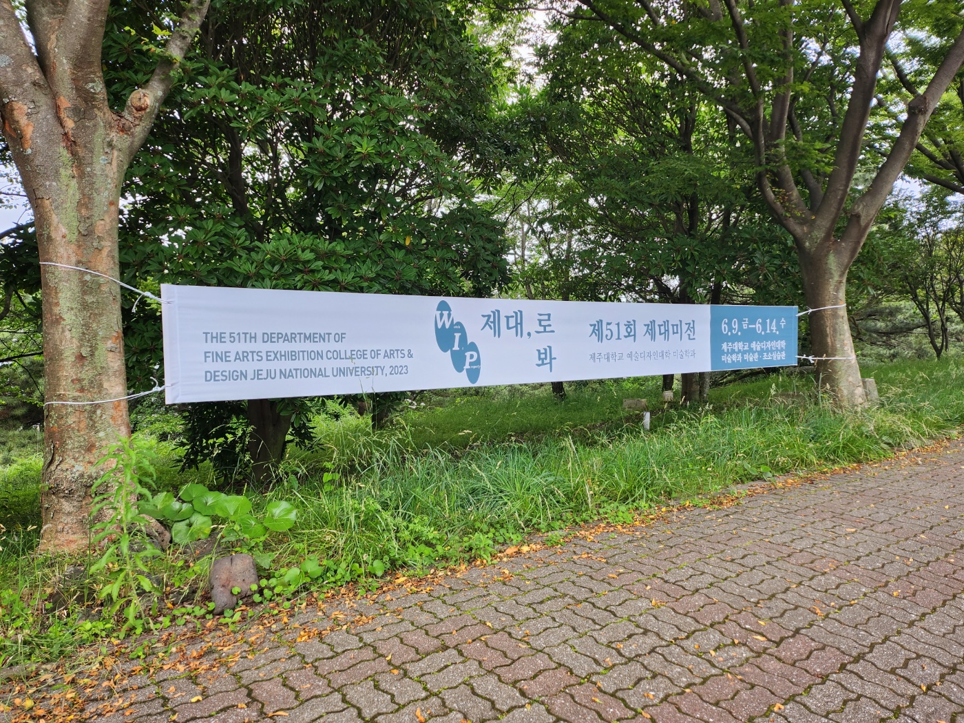 2023 제51회 제대미전